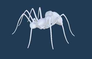 SpiderModel.png